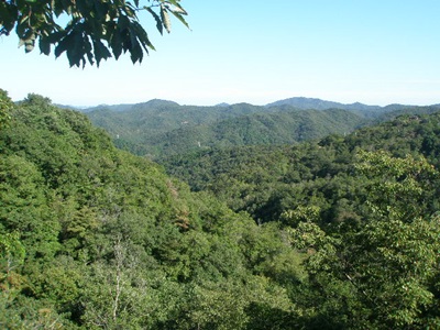 d0240201_13250005.jpg