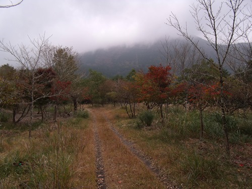 c0017802_20115726.jpg