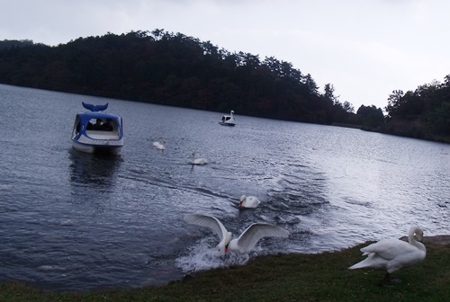 c0017802_20125978.jpg