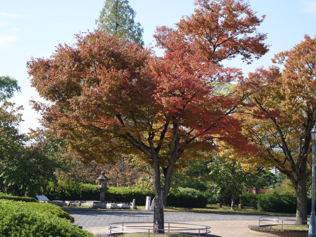 c0302102_13225546.jpg