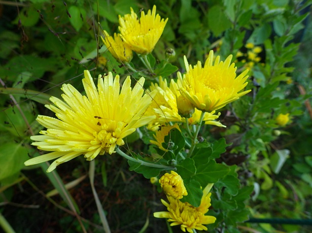 c0280206_895250.jpg