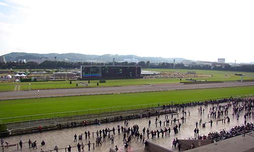 20141027-1.jpg