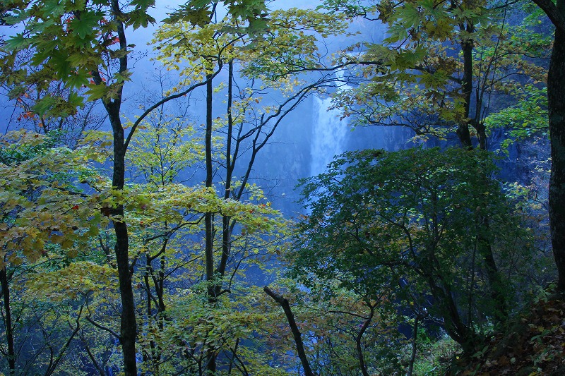 e0121110_222159.jpg