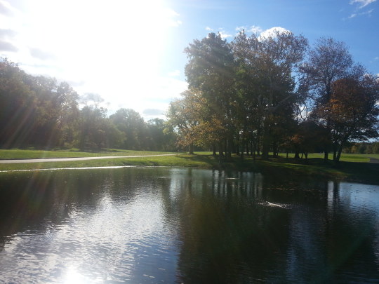 c0328616_11184458.jpg
