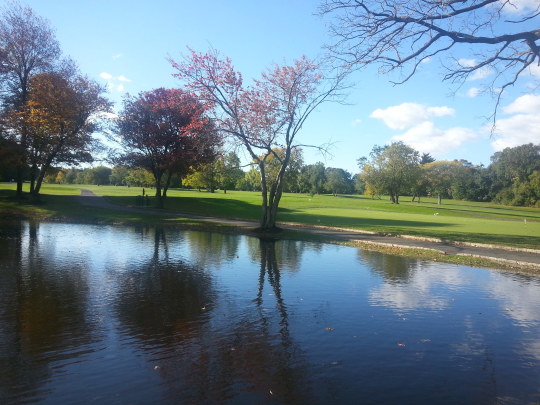 c0328616_11191481.jpg