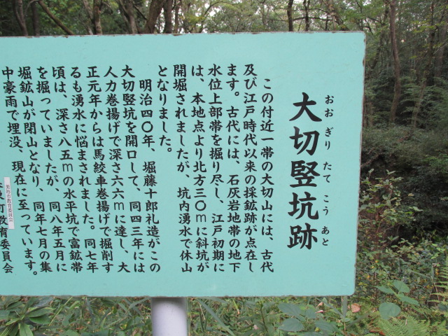 f0341616_08041895.jpg