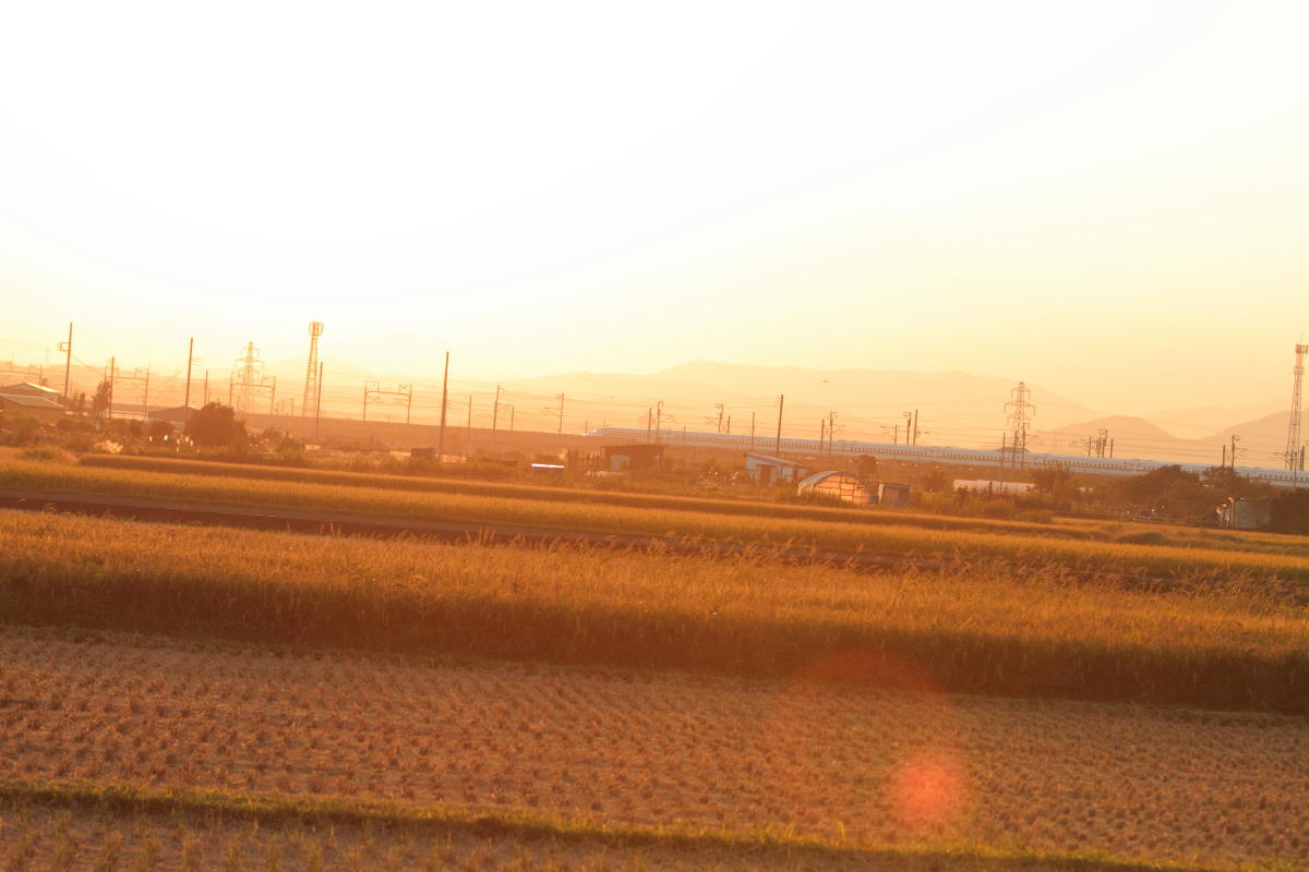 e0157717_23005068.jpg