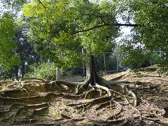 f0000521_17552997.jpg
