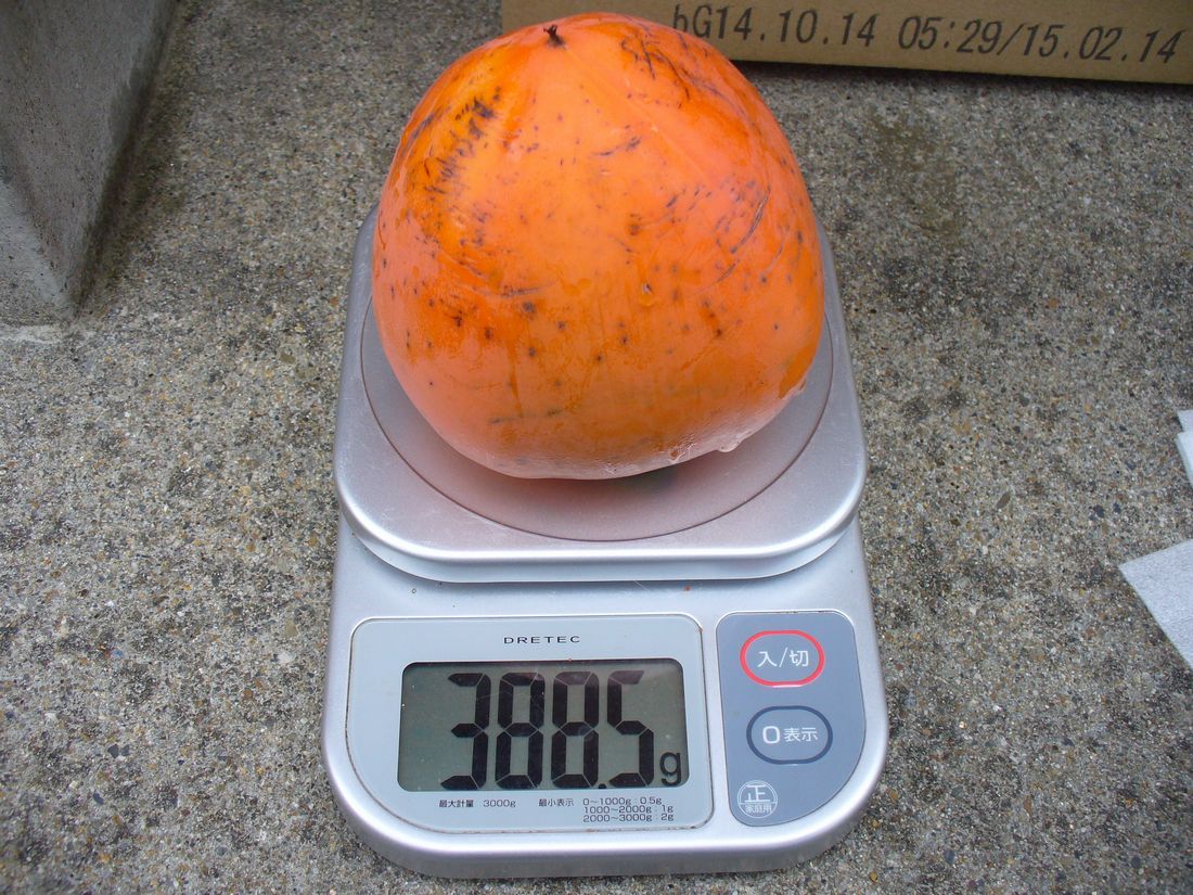 f0346527_22343639.jpg
