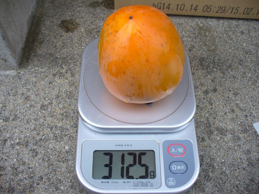 f0346527_22353517.jpg