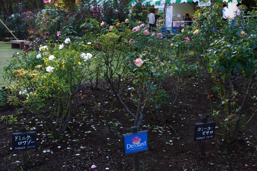e0021328_0203419.jpg