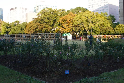 e0021328_0204353.jpg
