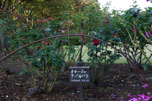 e0021328_0304463.jpg