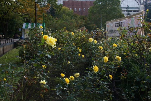 e0021328_047242.jpg