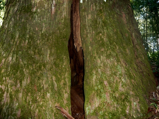 a0206332_9242955.jpg