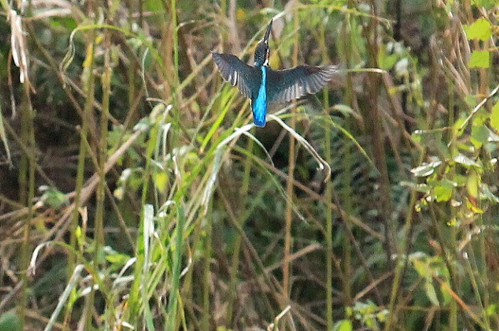 f0327034_22343312.jpg