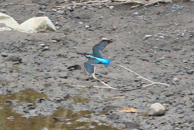 f0327034_22352249.jpg