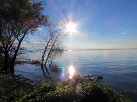 f0234936_6462329.jpg