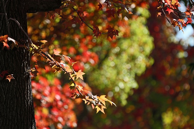 a0242438_1831080.jpg