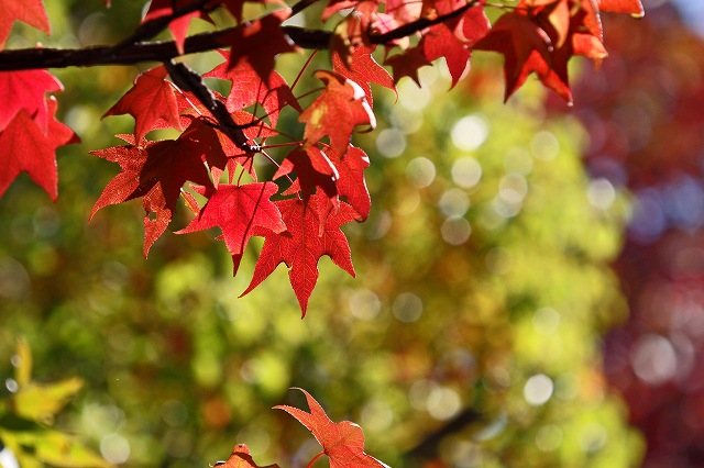 a0242438_18312310.jpg