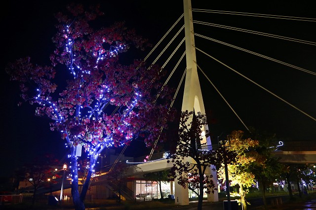 a0242438_18382771.jpg