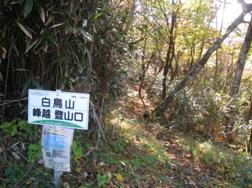 c0077338_603442.jpg