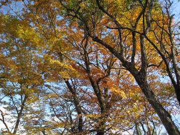 c0077338_605897.jpg