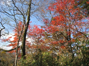 c0077338_605932.jpg