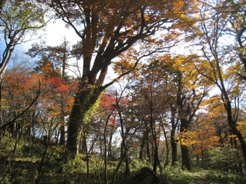 c0077338_615353.jpg