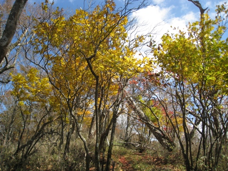 c0077338_633670.jpg