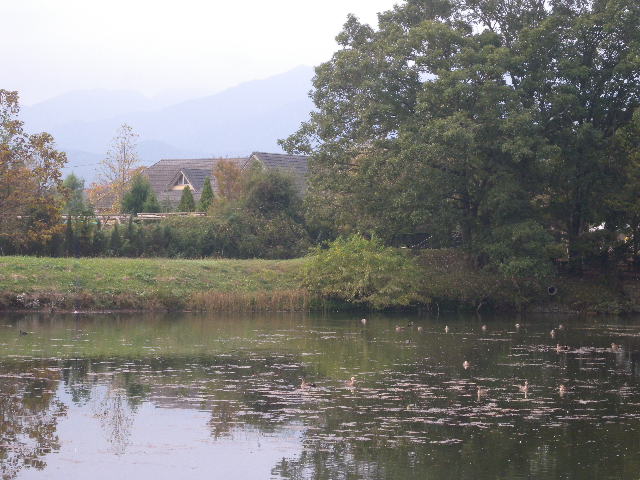 e0164941_22455092.jpg