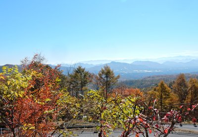 a0142343_71353.jpg