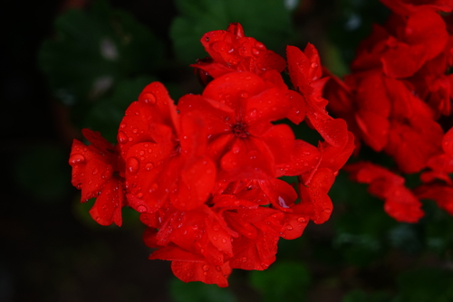 a0157047_6162274.jpg