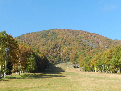 e0172950_21121827.jpg