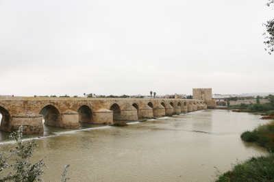 b0051052_11232966.jpg