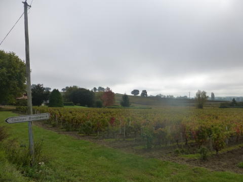 b0296855_23235355.jpg