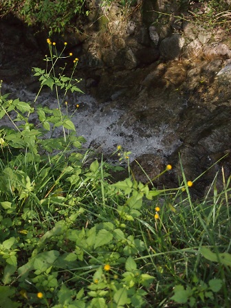 b0246758_20043865.jpg
