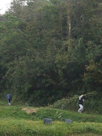 b0246758_20121912.jpg