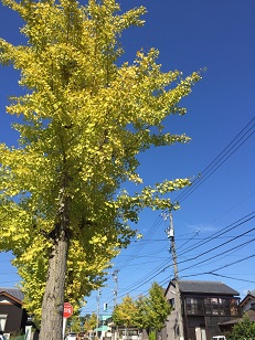 f0221360_14265330.jpg