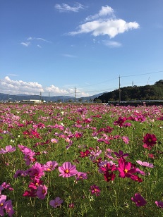 f0221360_1482533.jpg
