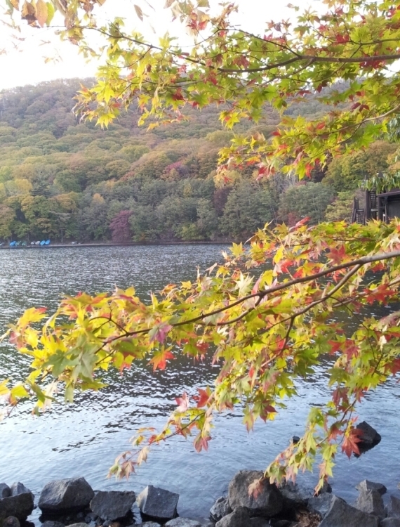 b0304662_18262159.jpg