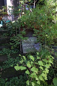 f0035962_10332193.jpg