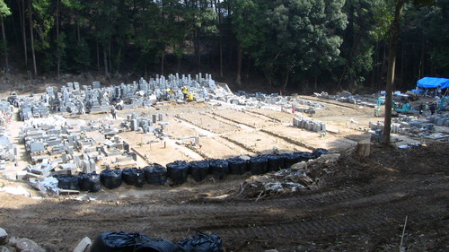 d0048364_1253147.jpg