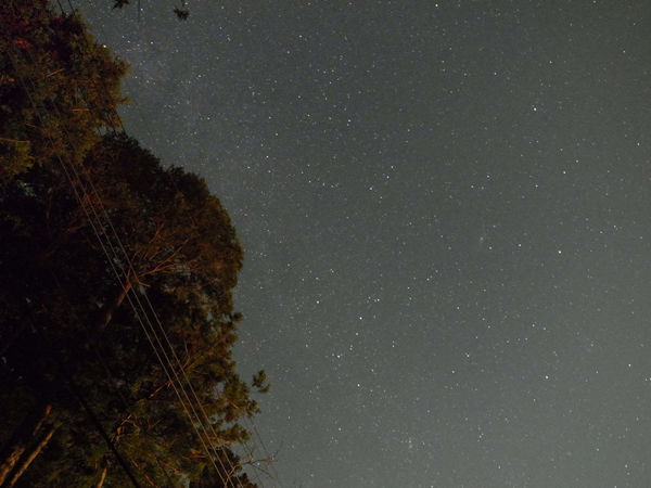 c0048265_1840165.jpg