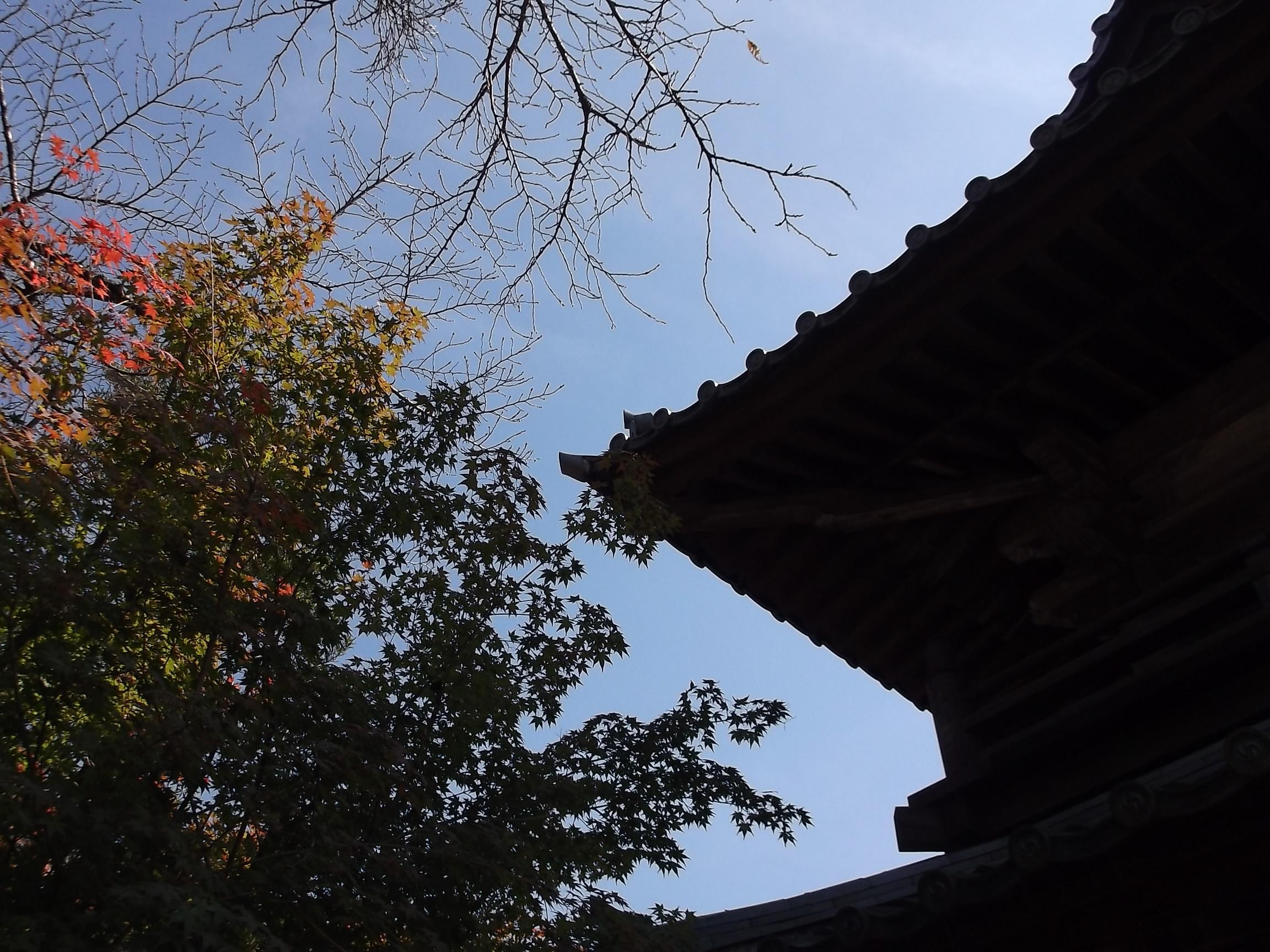 e0265768_17254969.jpg