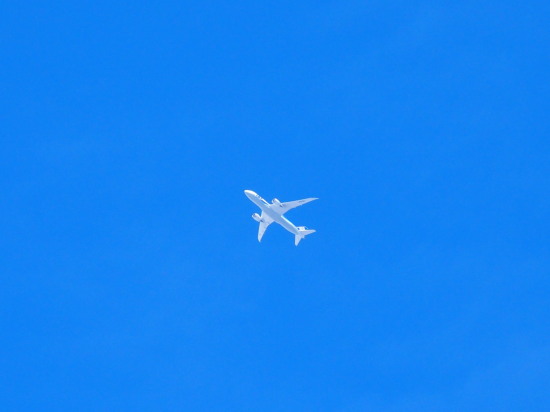 c0122670_20534566.jpg