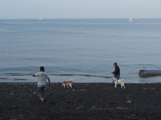 c0122670_21582237.jpg