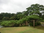 c0098871_18283699.jpg