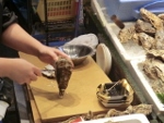 c0098871_18423249.jpg