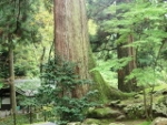 c0098871_18575730.jpg